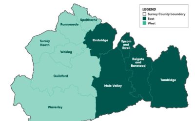 Understanding local government re-organization in Surrey by Neil Lock