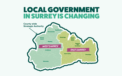 Same Old Councillors, Same Old Rubbish by Denis Podany