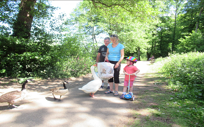 Two Viewpoints on Farncombe Local Street Improvements