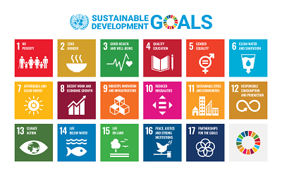 The UN Sustainable Development Goals by Neil Lock